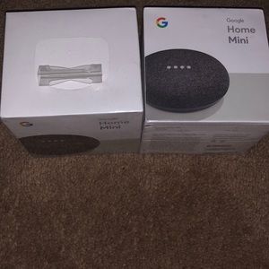 Google Home Minis